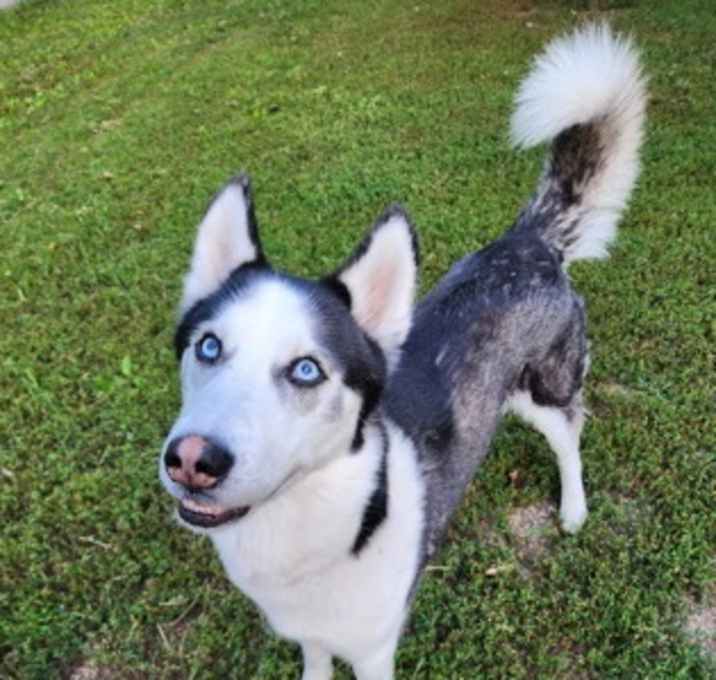 Photo of Yeti