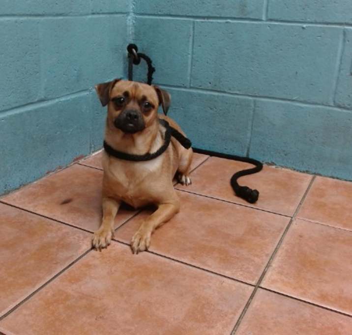 Photo of PRINCESS
