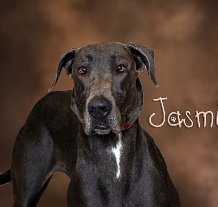 Photo of Jasmine