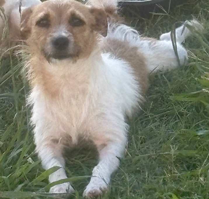 Photo of Duchess