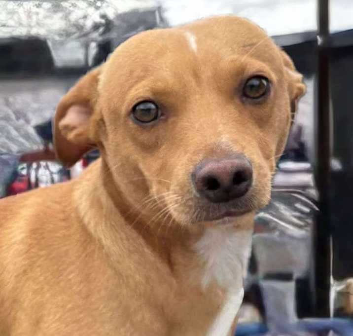 Photo of Rudy