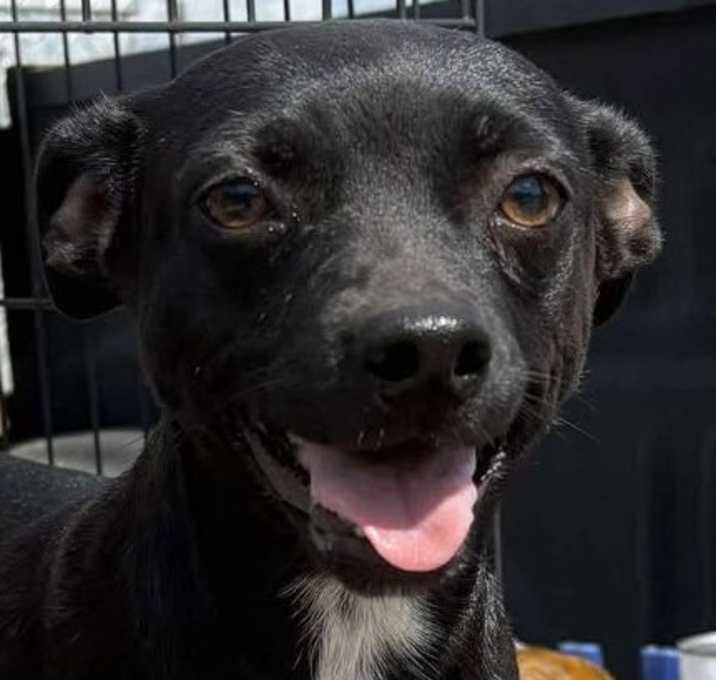 Photo of Diamond