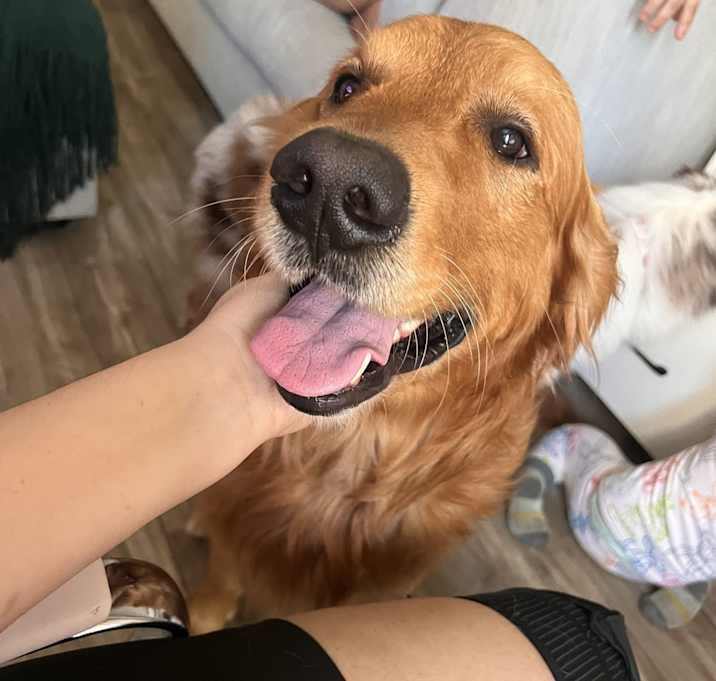 Photo of Chase