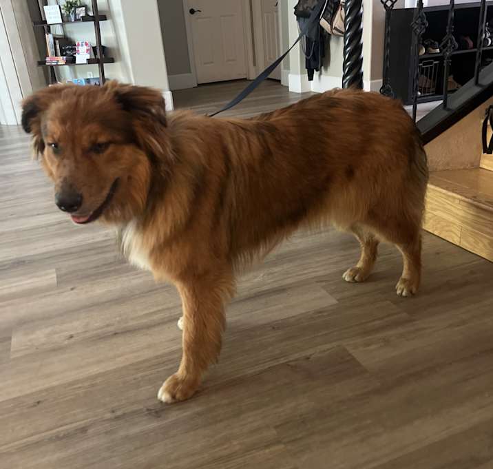 Photo of Rocko