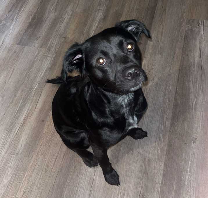 Photo of Coco
