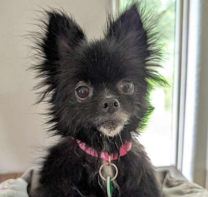 Photo of Betsy