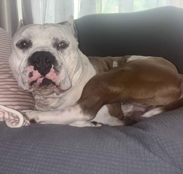 Photo of Kilo