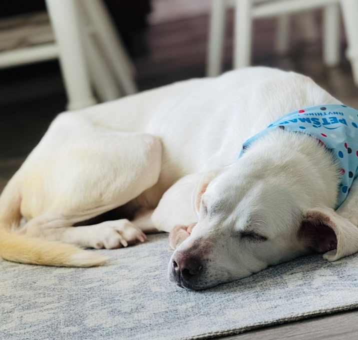 Photo of Zoe