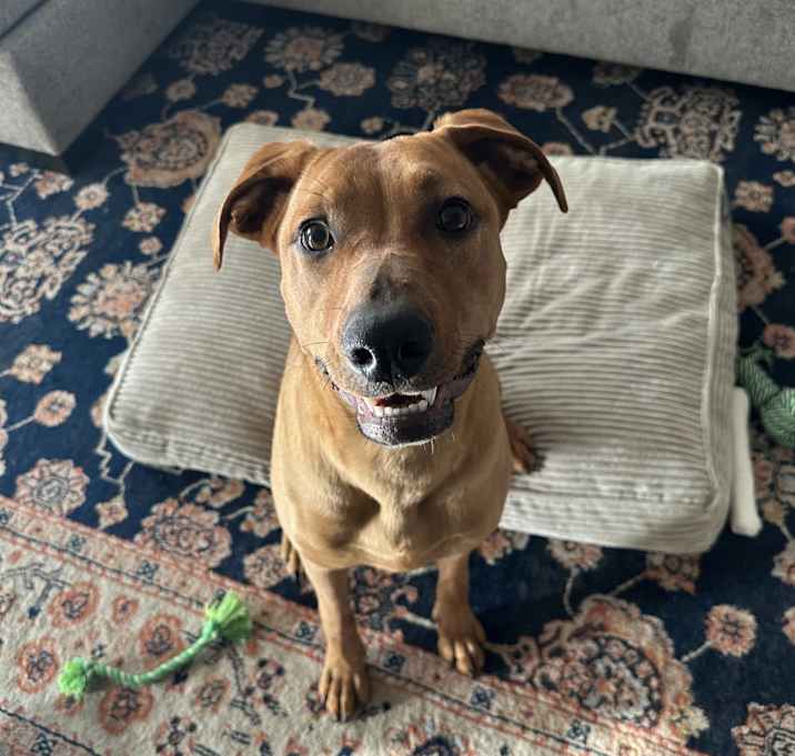 Photo of Maggie
