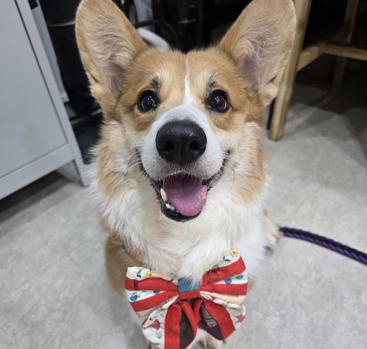 Photo of CHOCO