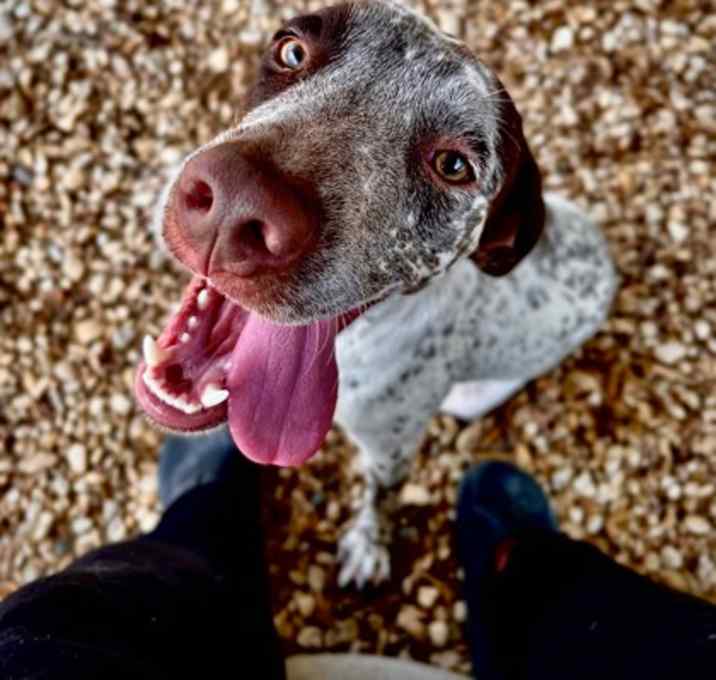 Photo of Birdie