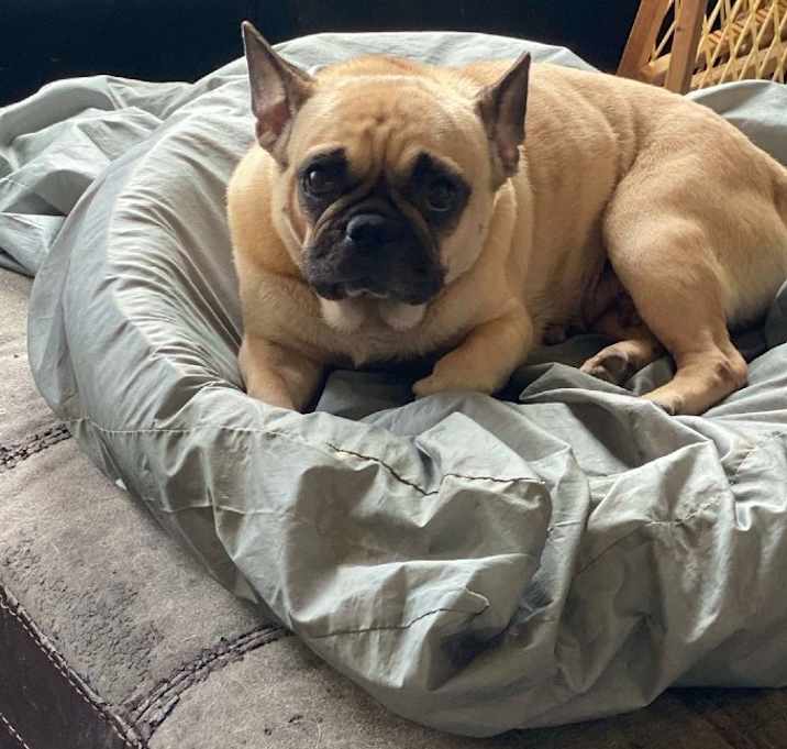 Photo of Moxie