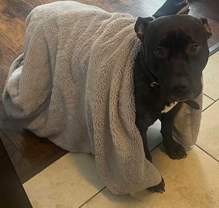 Photo of Smokey