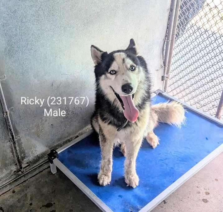 Photo of Ricky