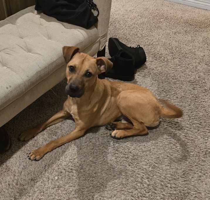 Photo of Ares