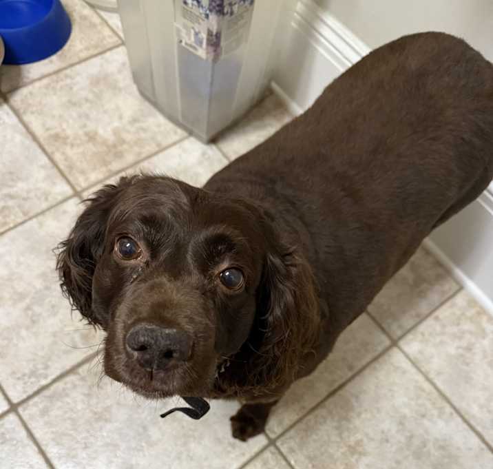 Photo of Lexie
