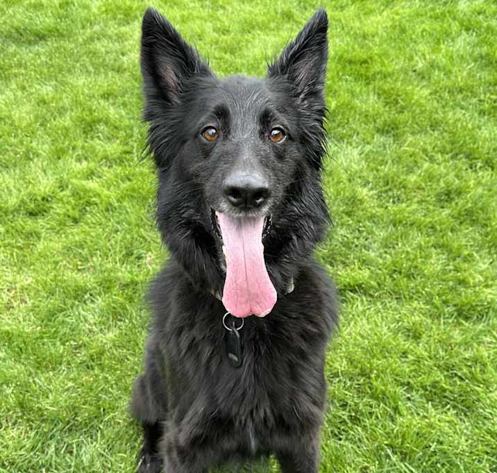 Photo of Timber