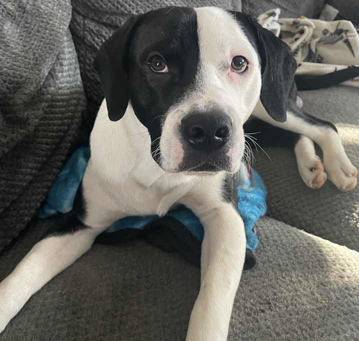 Photo of Grim