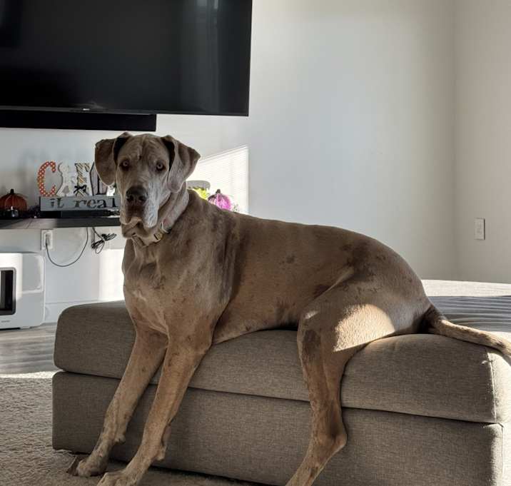 Photo of Darla Rose