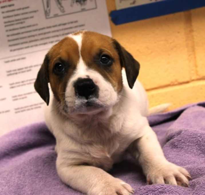 Photo of Rogue