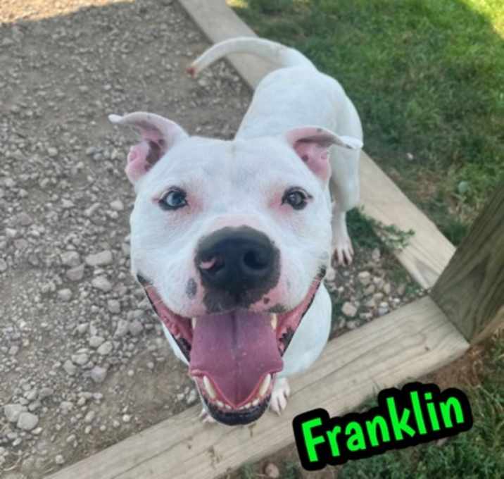 Photo of Franklin