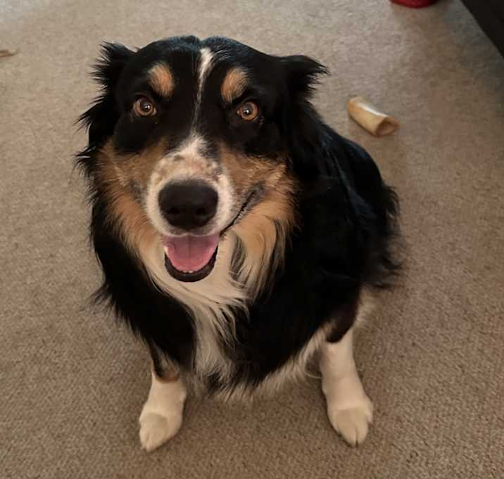 Photo of Rogue