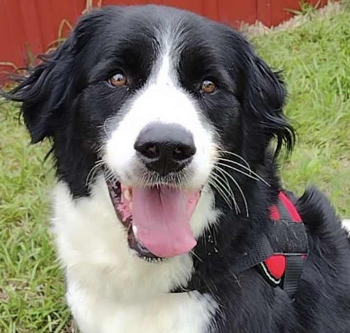 Photo of Simon