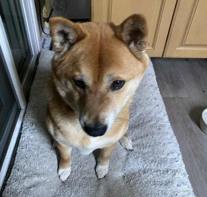 Photo of Boba