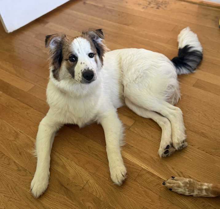 Photo of Winston