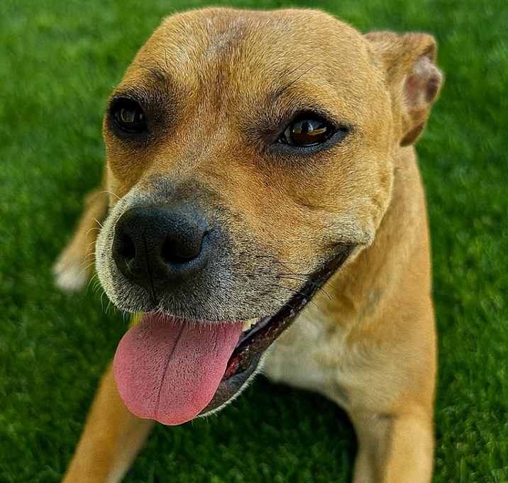 Photo of Candy