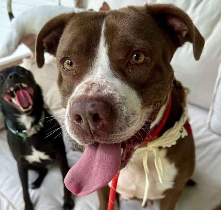 Photo of Isla