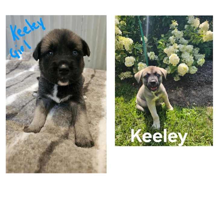 Photo of Keely