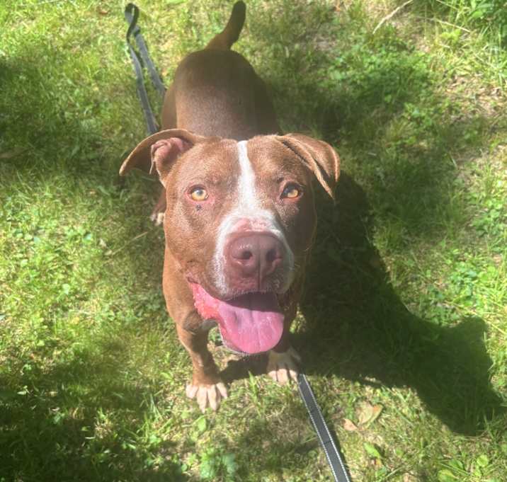 Photo of Archer