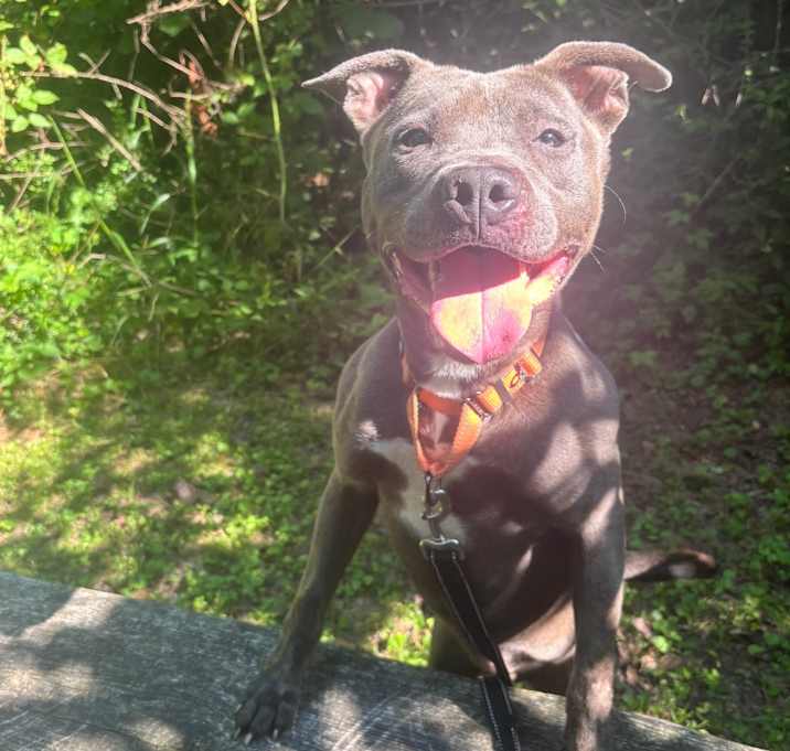 Photo of Blue