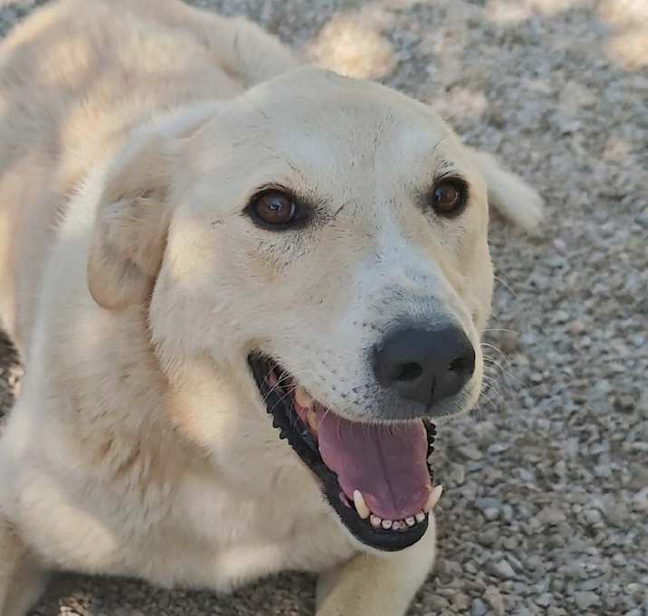 Photo of KAYMATI (Turkey) kt