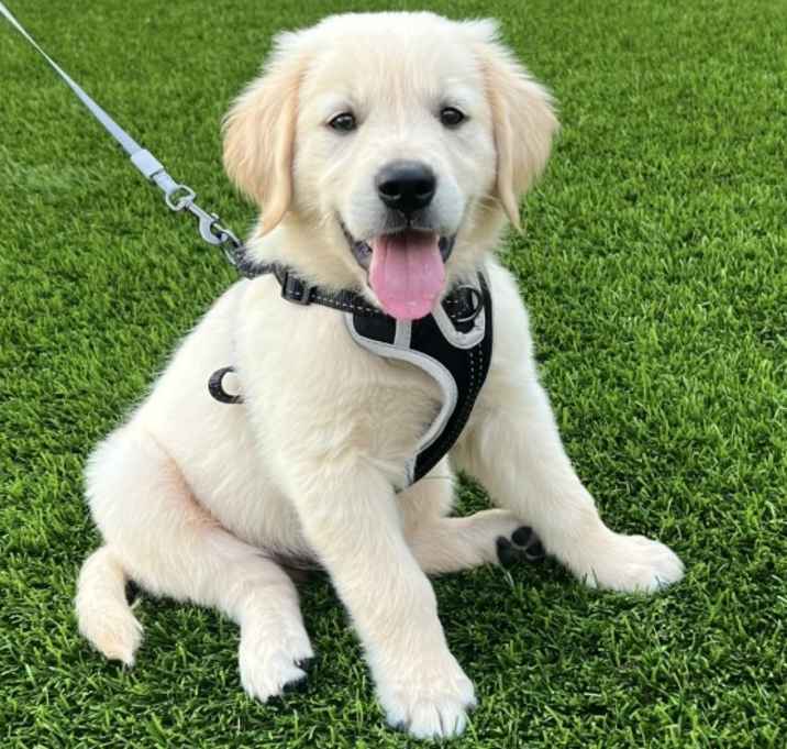 Photo of Jake