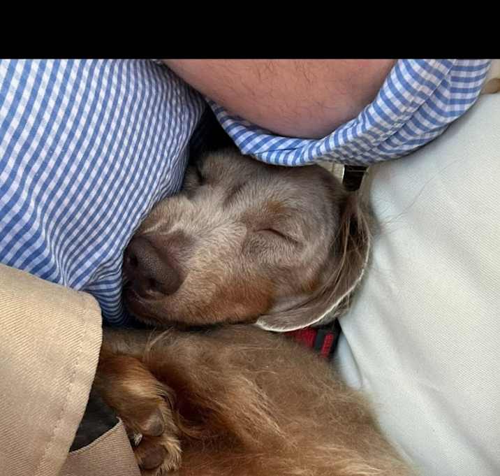 Photo of Archie