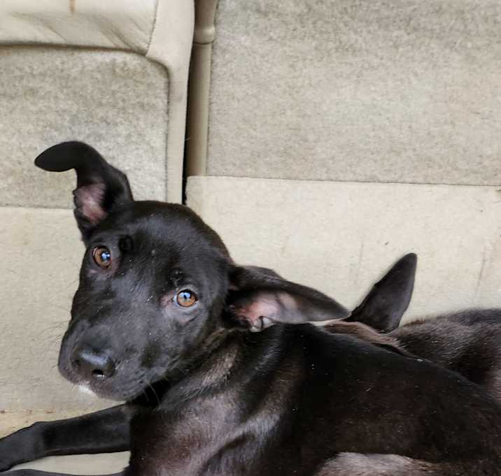 Photo of Might