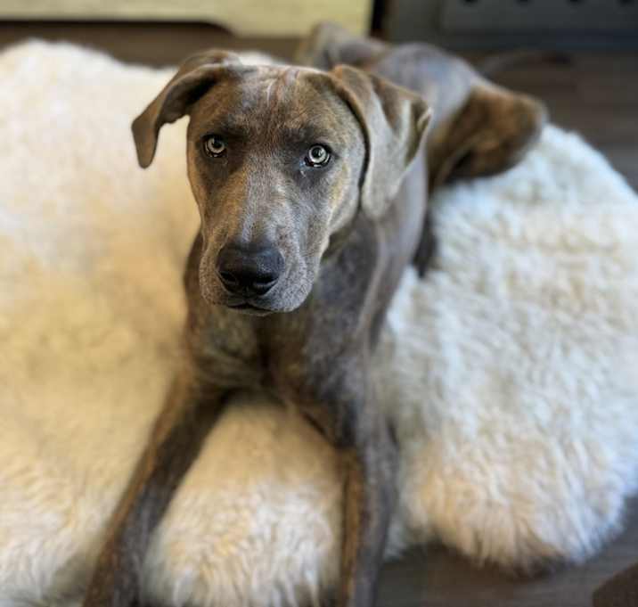 Photo of Mable