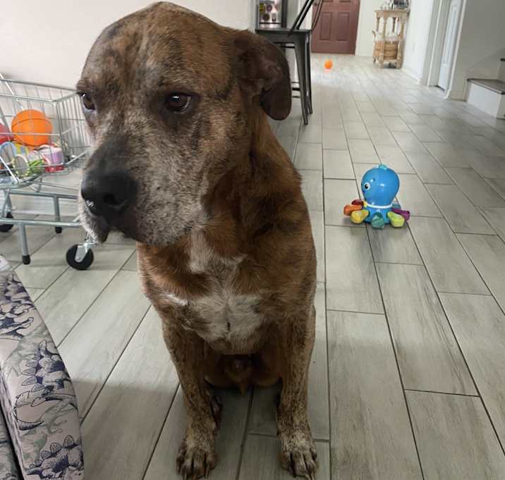 Photo of Bagel