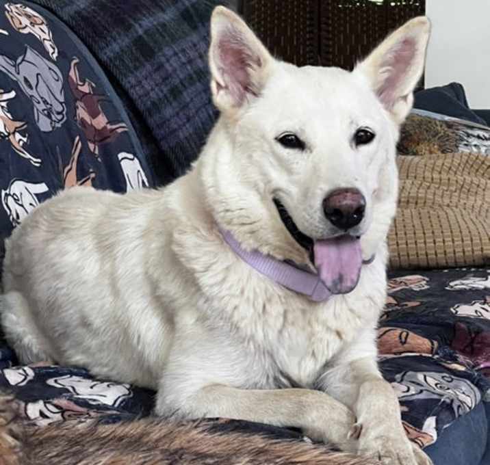 Photo of CHEROKEE