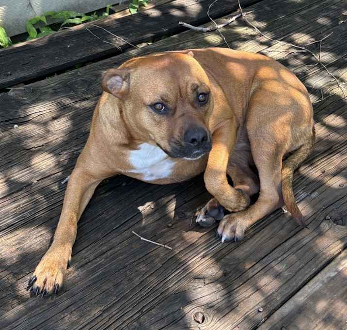 Photo of Freyja