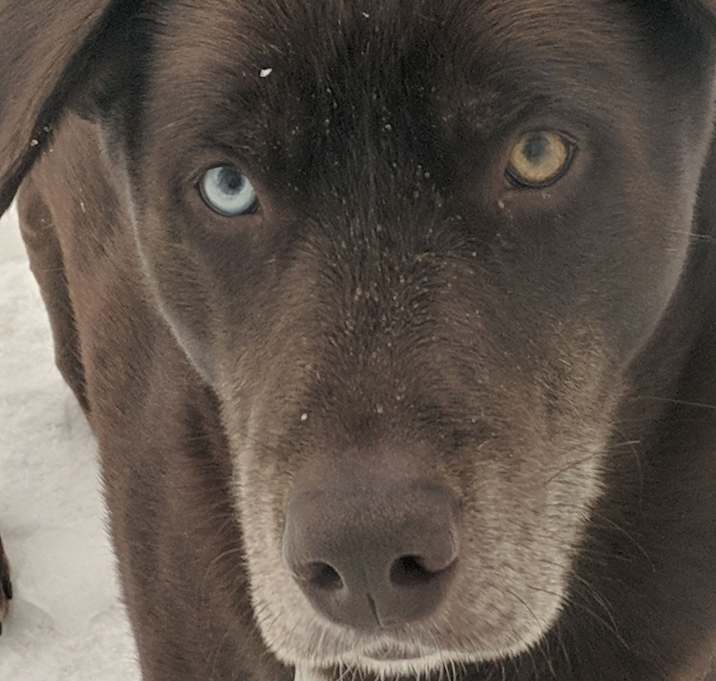 Photo of Ares