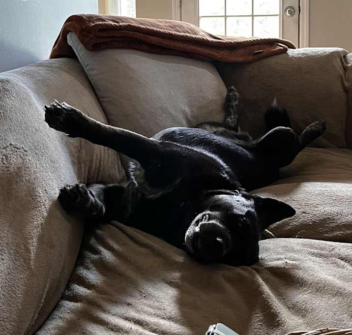 Photo of Ace