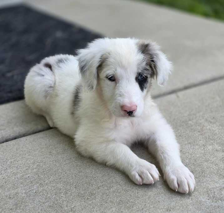 Photo of Sundae