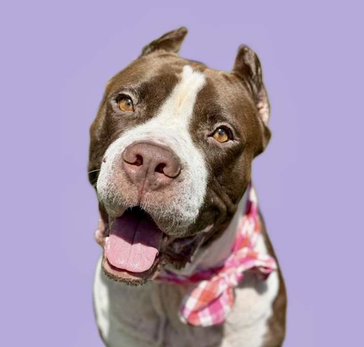 Photo of DAISY