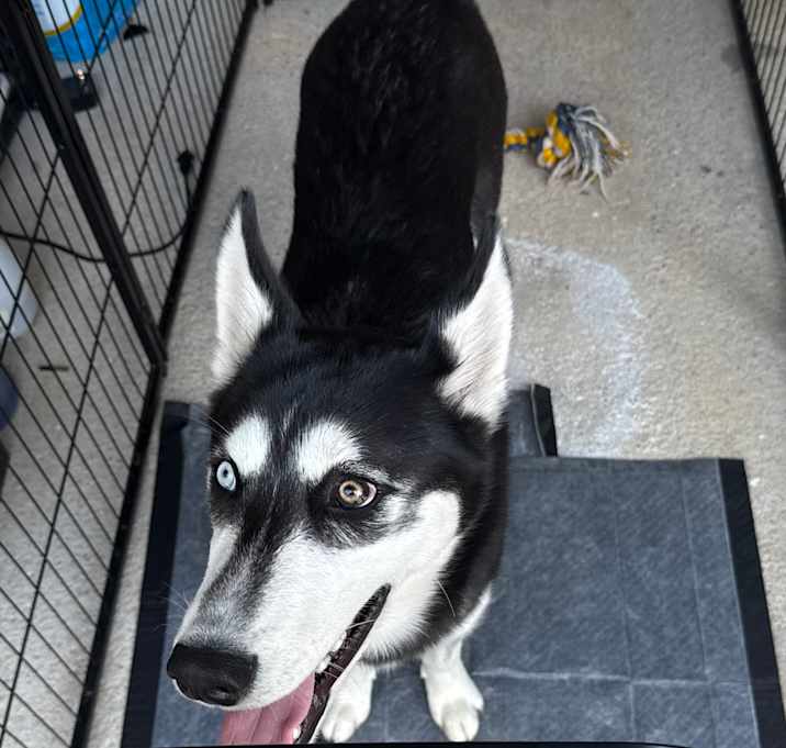 Photo of Zeus