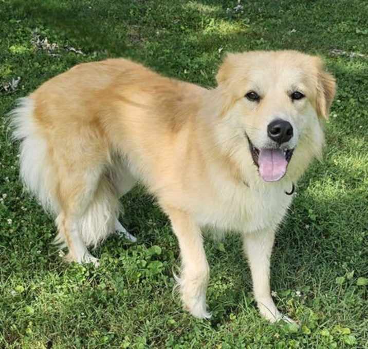 Photo of SAMMY