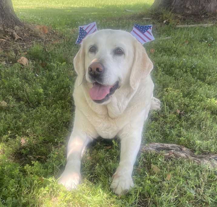 Photo of Daisy