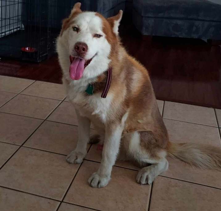 Photo of Milo